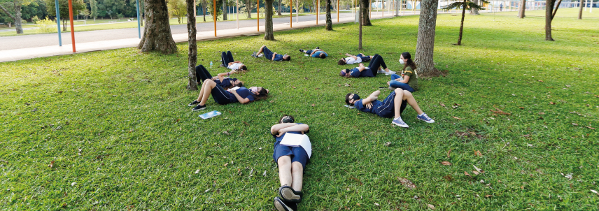 A saúde mental em ciclos de crise